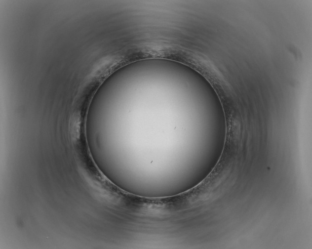 X0000112350694200908131429