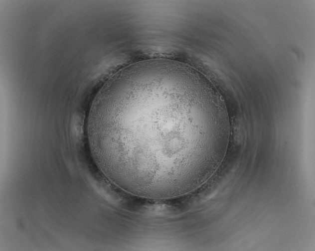 X0000112350695200908131429