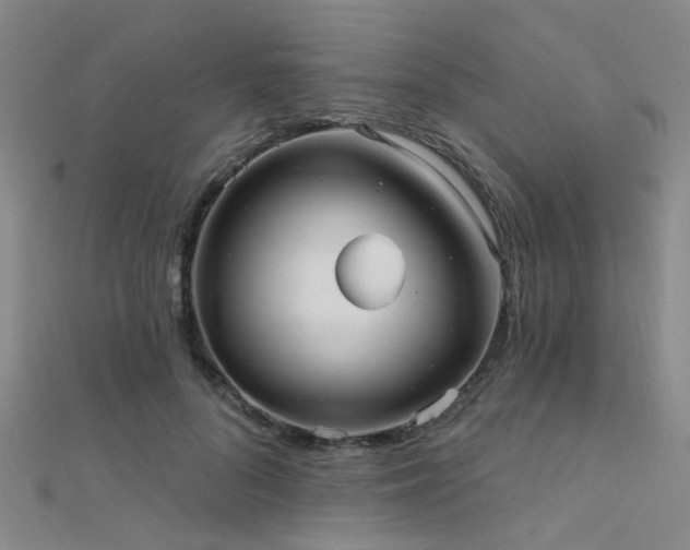 X0000112350696200908131428