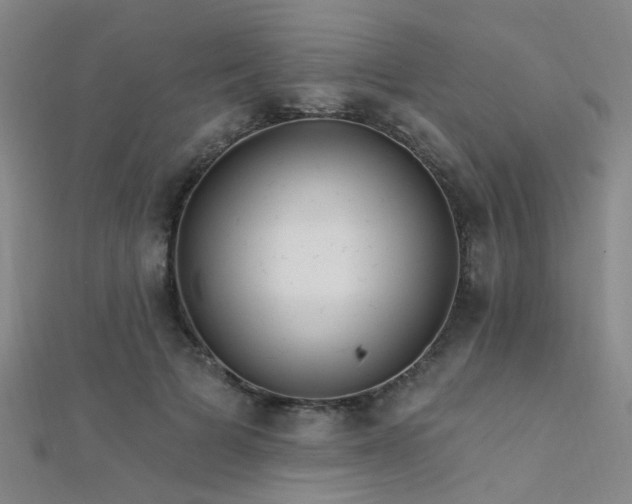 X0000112350697200908131428