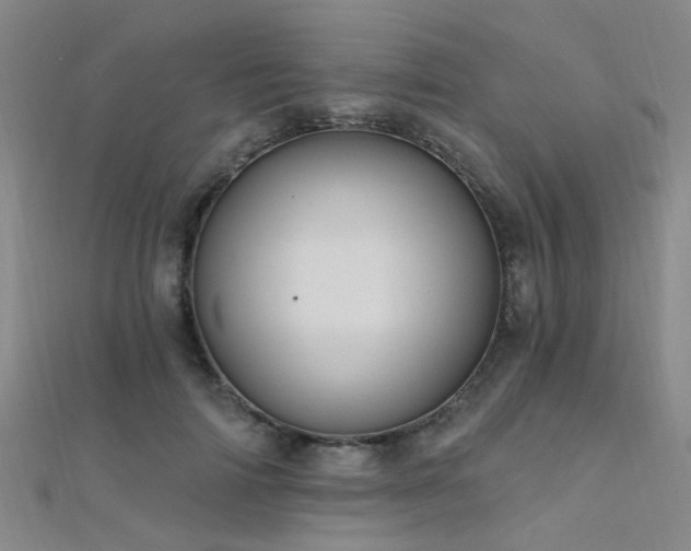 X0000112350698200908131428