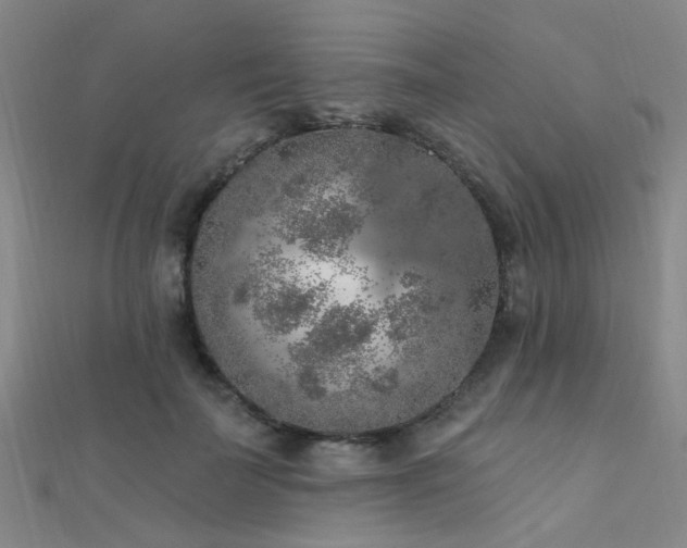 X0000112350699200908131428