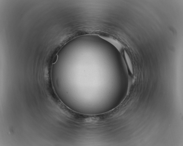 X0000112350700200908131428