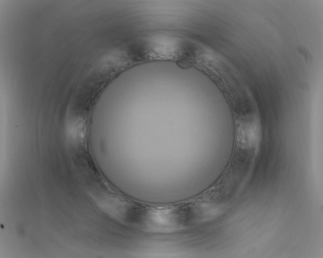 X0000112350701200908131428