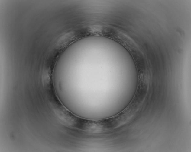 X0000112350702200908131428