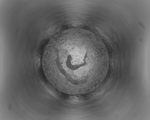 X0000112350703200908131428