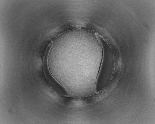 X0000112350704200908131428