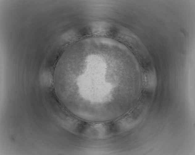 X0000112350705200908131428