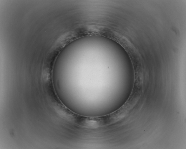 X0000112350706200908131428