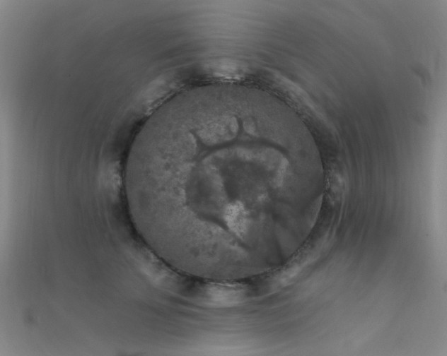 X0000112350707200908131428