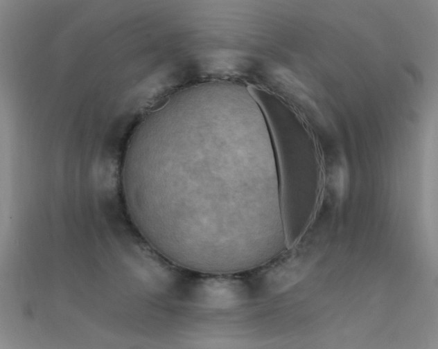 X0000112350708200908131428