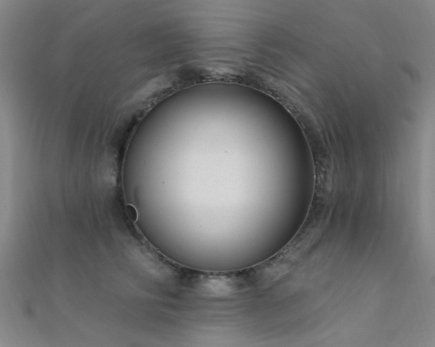 X0000112350710200908131428