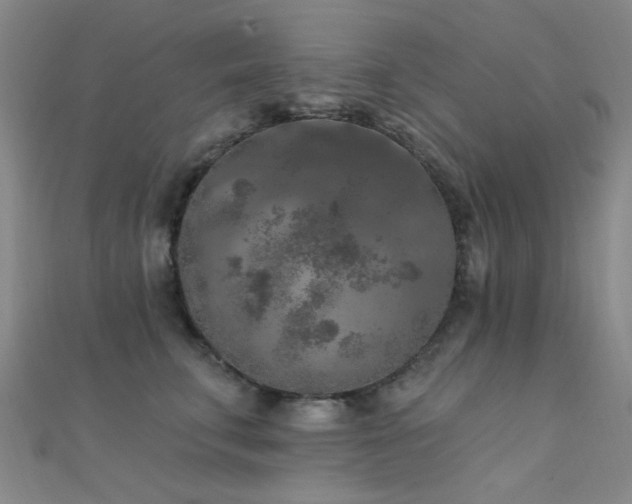 X0000112350711200908131428