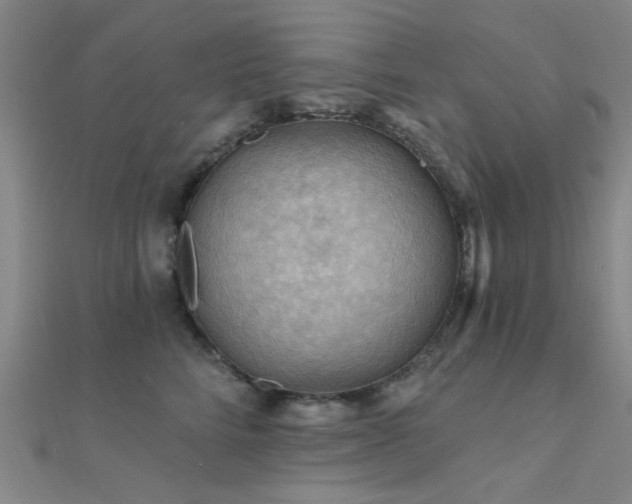X0000112350712200908131428