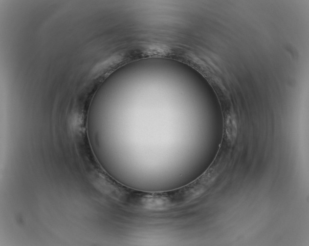 X0000112350714200908131428