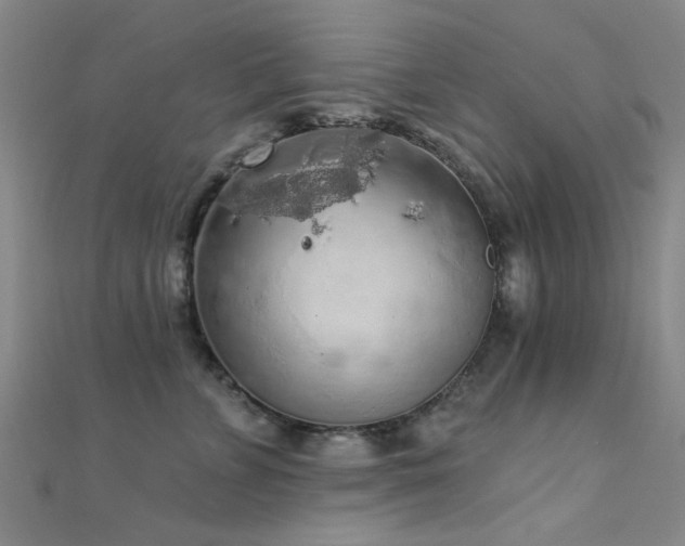 X0000112350715200908131428