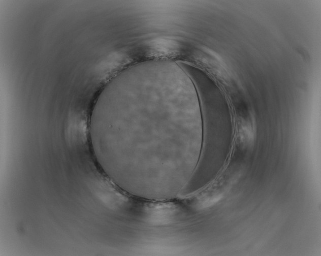 X0000112350716200908131428