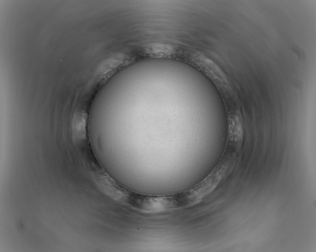 X0000112350717200908131428