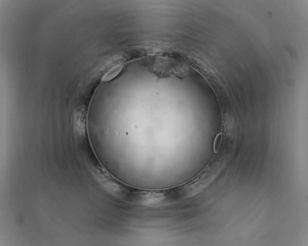 X0000112350719200908131428