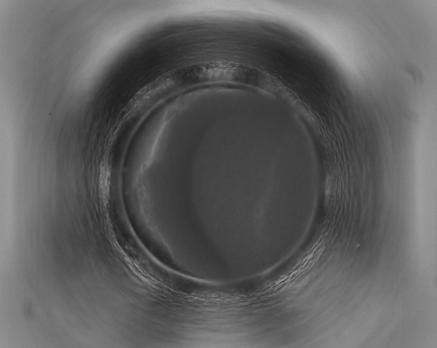 X0000112350722200908131428
