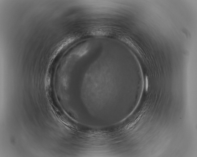X0000112350723200908131428
