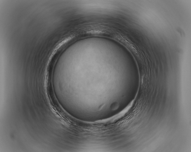 X0000112350724200908131428