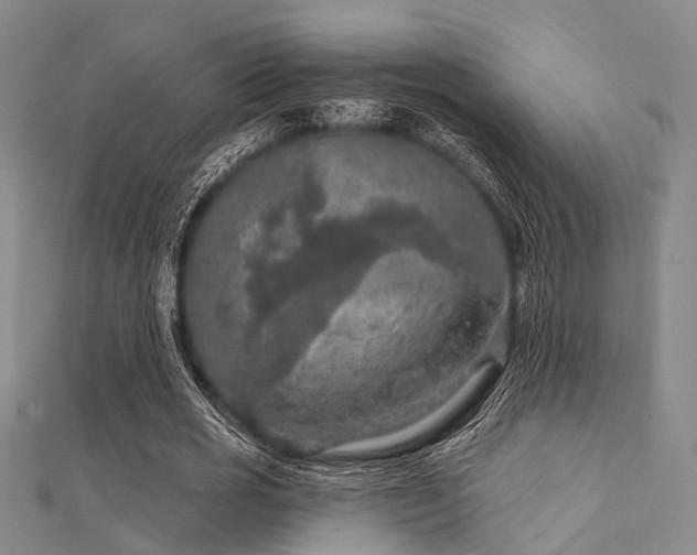 X0000112350725200908131428