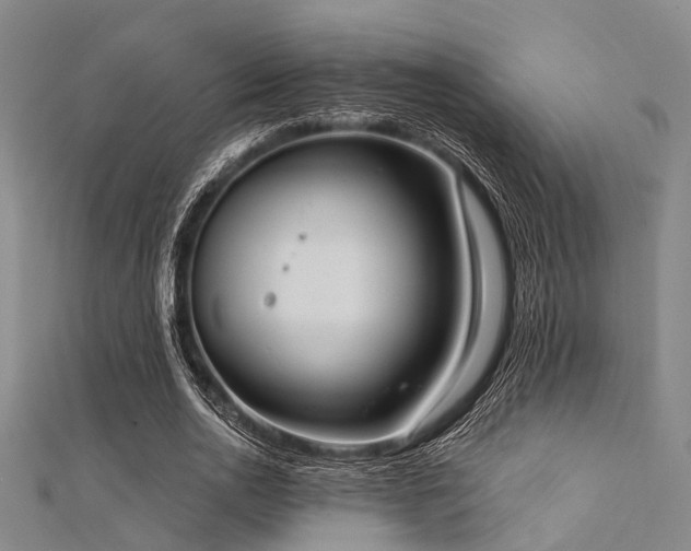 X0000112350726200908131428