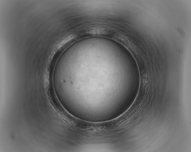 X0000112350727200908131428