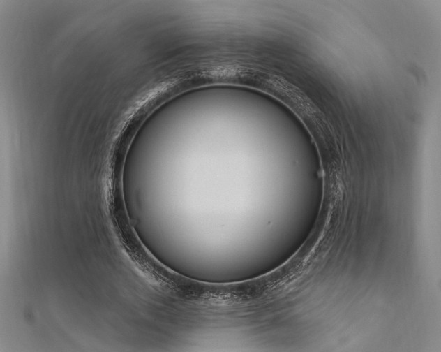X0000112350728200908131428