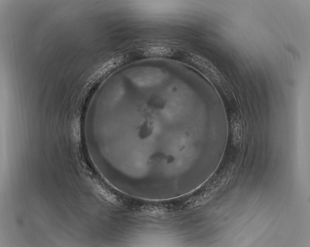 X0000112350729200908131428