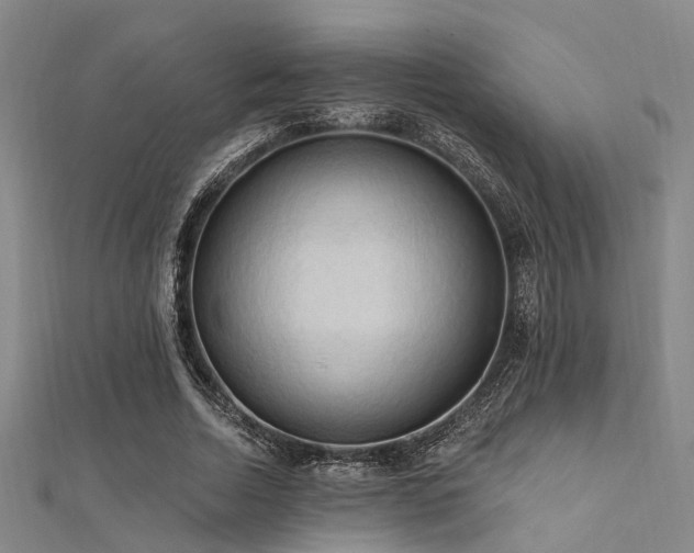 X0000112350730200908131428