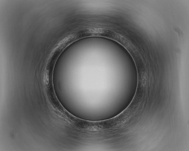 X0000112350731200908131428