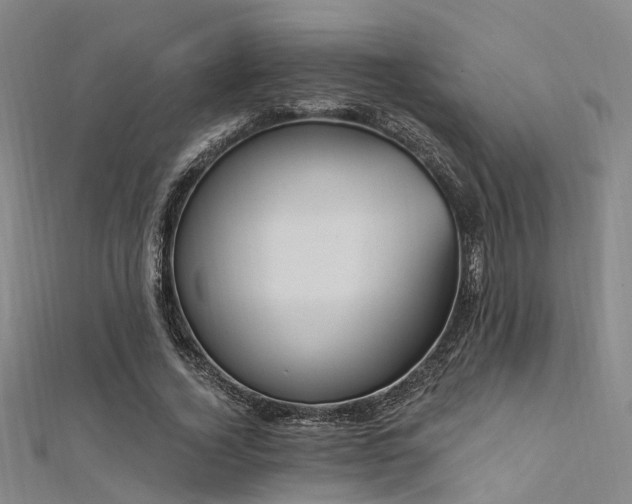 X0000112350732200908131428