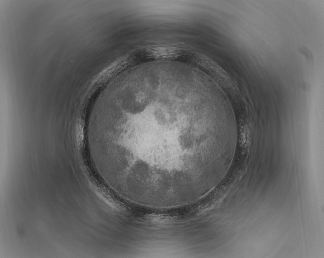 X0000112350733200908131428