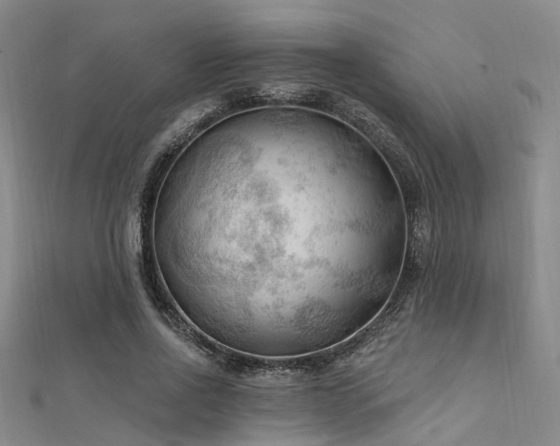X0000112350734200908131428
