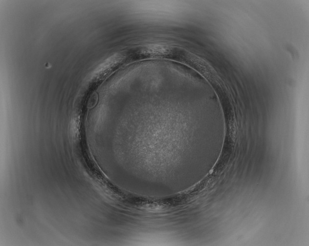 X0000112350735200908131428