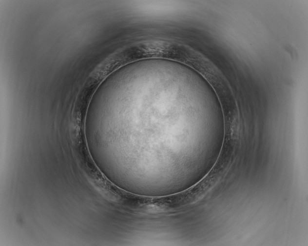 X0000112350737200908131428
