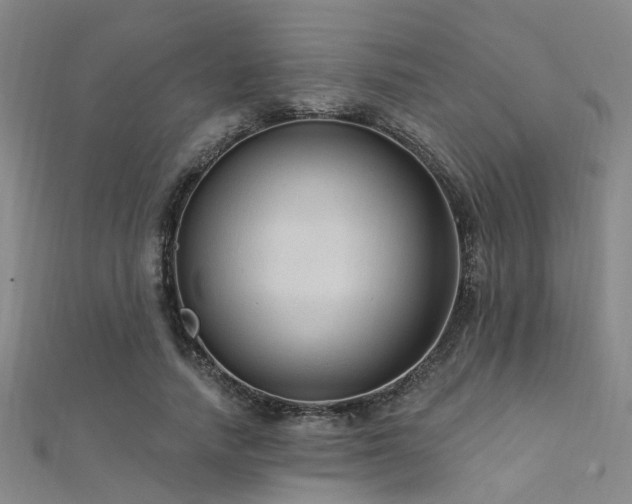 X0000112350738200908131428