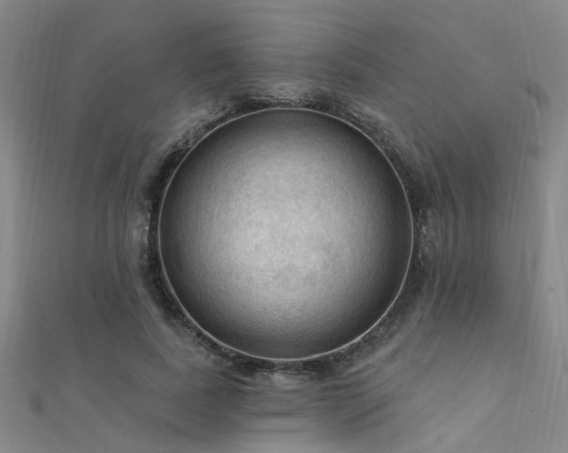 X0000112350739200908131428