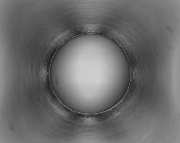 X0000112350741200908131428