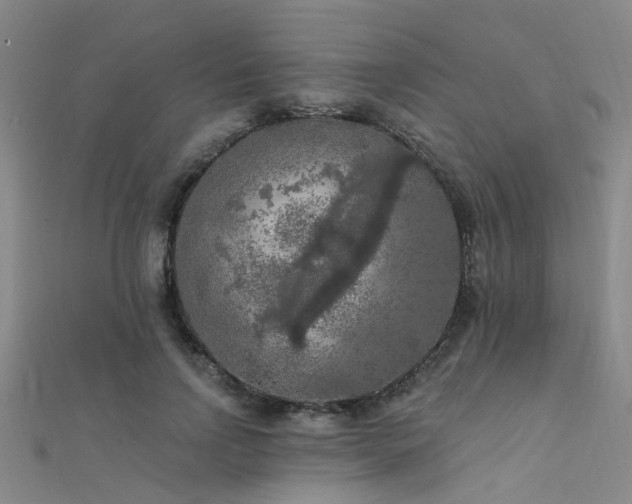 X0000112350742200908131428