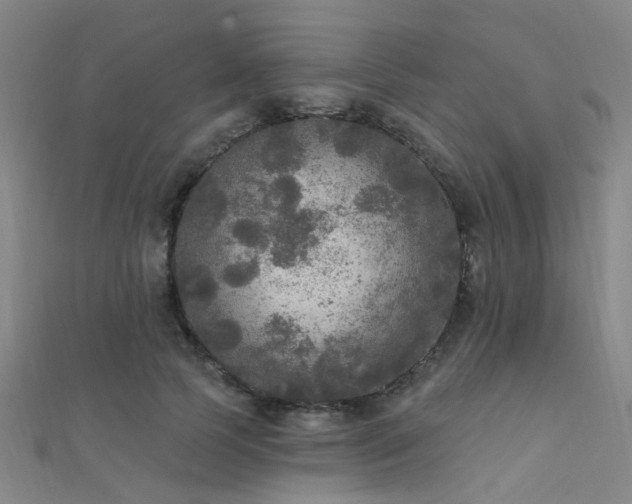 X0000112350745200908131428