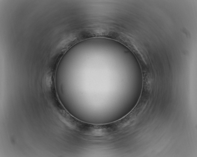 X0000112350746200908131428