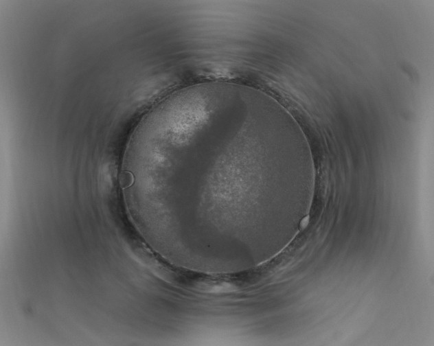 X0000112350747200908131428