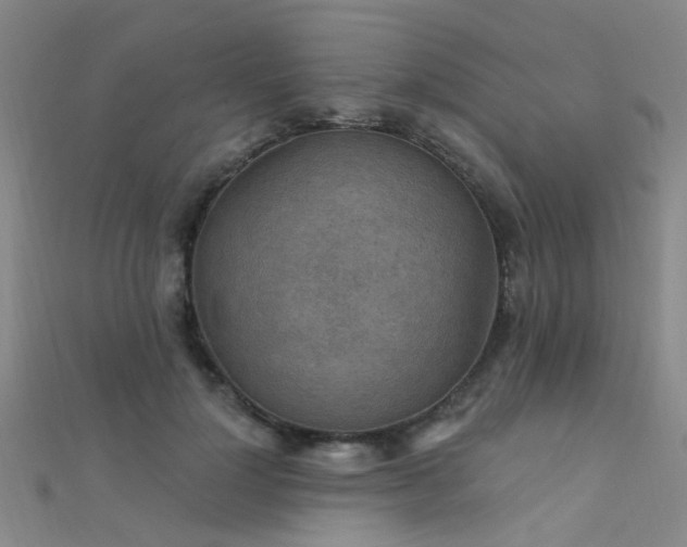 X0000112350748200908131428
