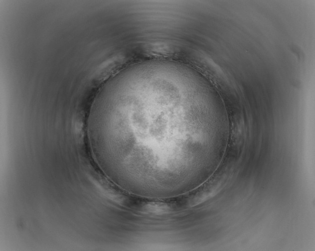 X0000112350749200908131428