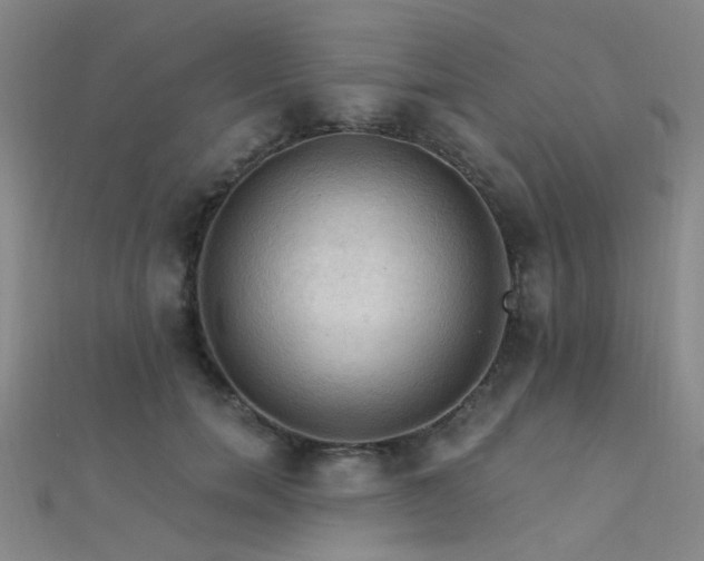 X0000112350750200908131428