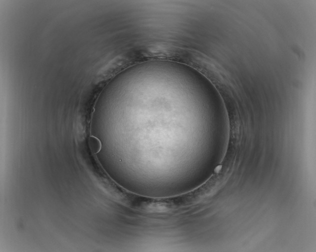X0000112350751200908131428