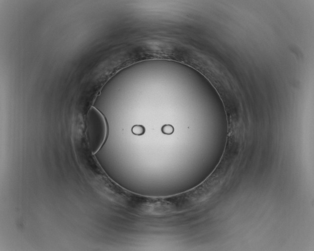 X0000112350752200908131428